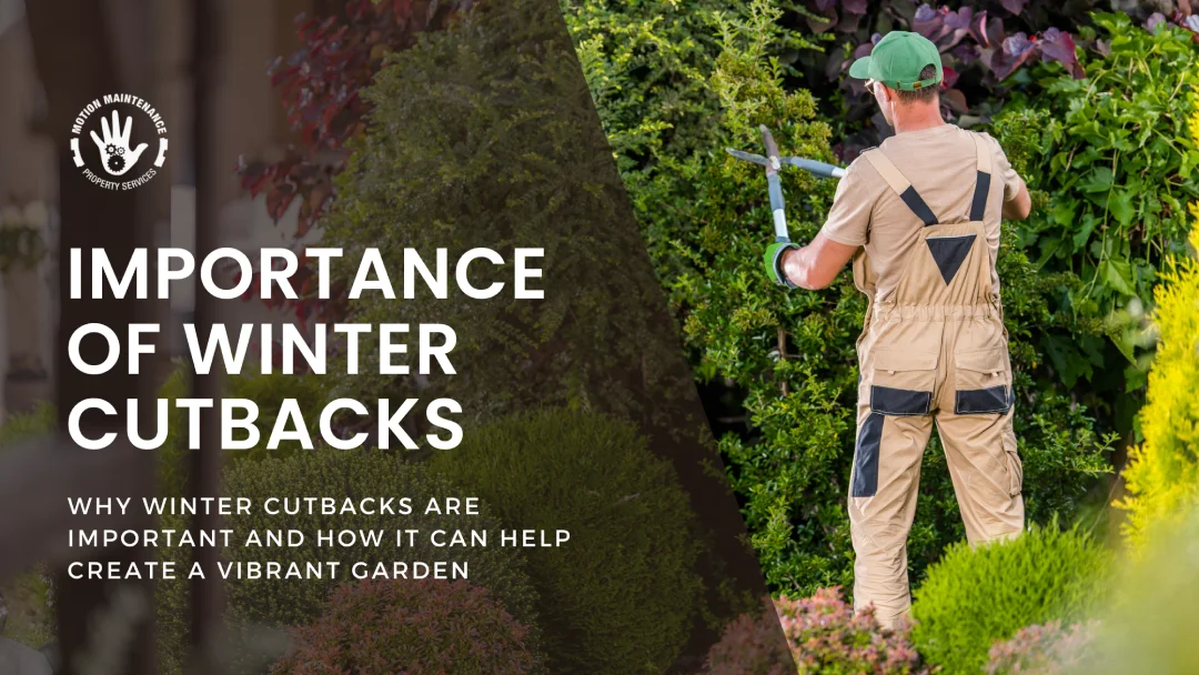 The Essential Winter Cutbacks_ Enhancing Your Property’s Health and Aesthetic Appeal