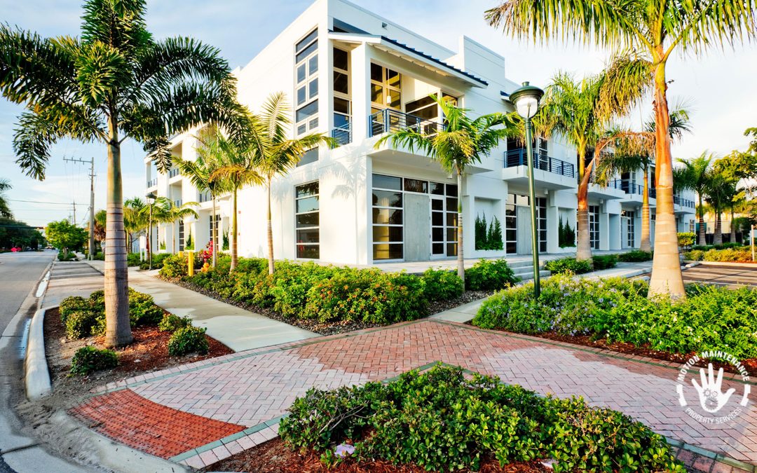 Transforming Commercial Spaces with Professional Landscaping: Enhancing Value and Aesthetics