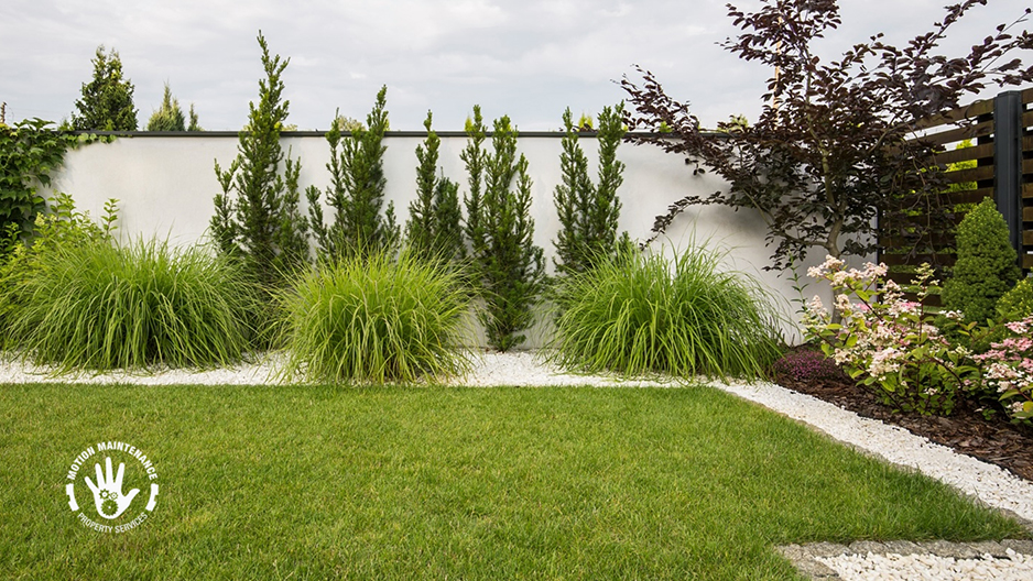 Give Your Lawn a Fresh Start