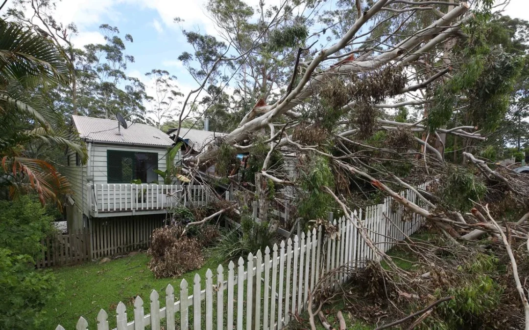Storm Damage Repairs Sydney